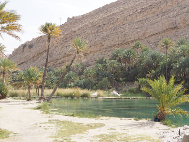 istock Wadi Bani Khalid is a famous recreation in Oman. 1211692633