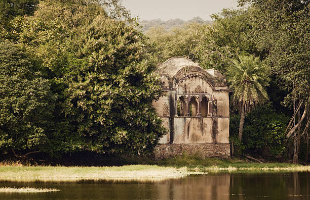 ranthambore - non urban scene standing water waterhole landscape - fotografias e filmes do acervo