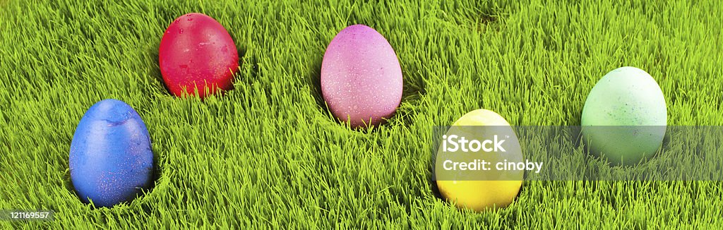 Easter Eggs Panorama Colorful Easter eggs on a green meadow Animal Egg Stock Photo