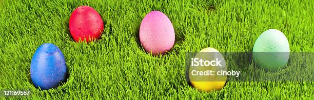 Easter Eggs Panorama Stock Photo - Download Image Now - Animal Egg, Animal Markings, Arrangement