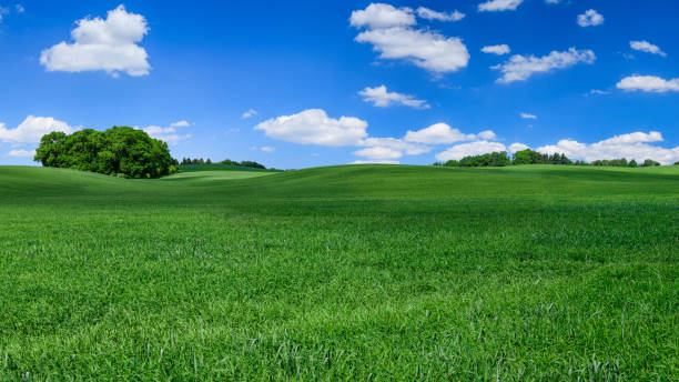 istock Panoramic spring landscape XXXXL 76 MPix - green field, blue sky 1211700772