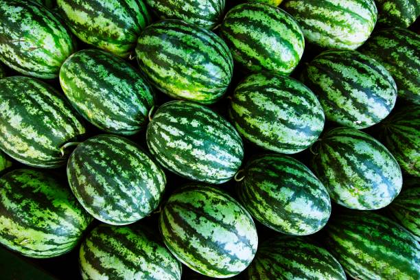 Watermelon pile - Bangkok fresh market.