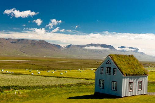 Old farm with mossy roof and typical icelandic landscape.