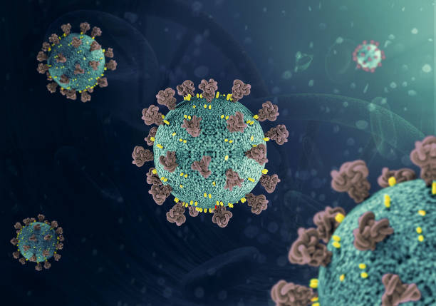 istock corona virus COVID-19 microscopic virus corona virus disease 3d illustration 1211713137