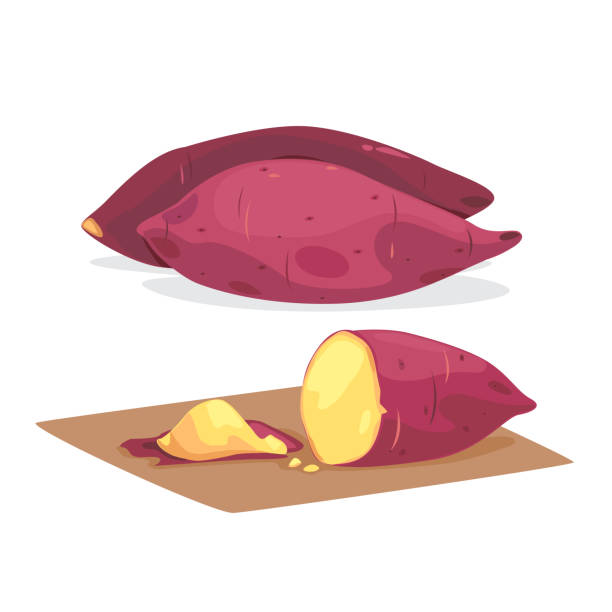 batat - sweet potato stock illustrations