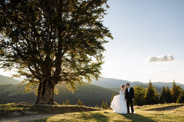 istock Beautiful bride and groom at the mountains 1211714999