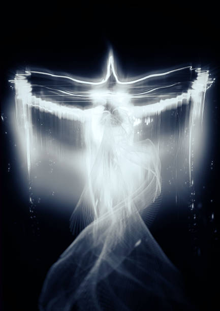 Abstract light shining white bird fluttering in the dark