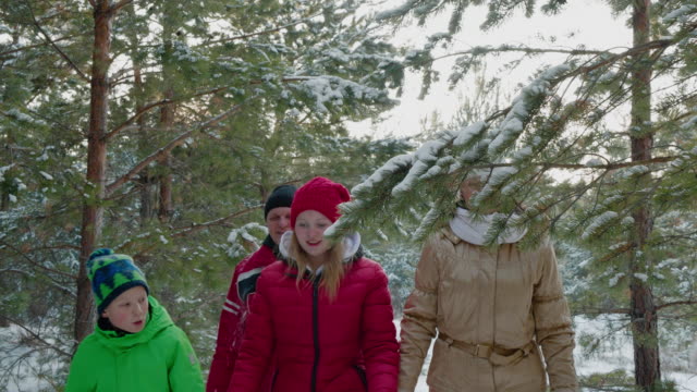 Friendly family mom, dad, son and daughter walking in coniferous forest at winter holiday. Happy family walking in winter woodland through snowy coniferous trees.