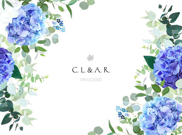 Summer botanical vector design banner. Light blue and white hydrangea, forget me not wildflowers, eucalyptus and herbs. Natural card or frame. Floral borders. All elements are isolated and editable