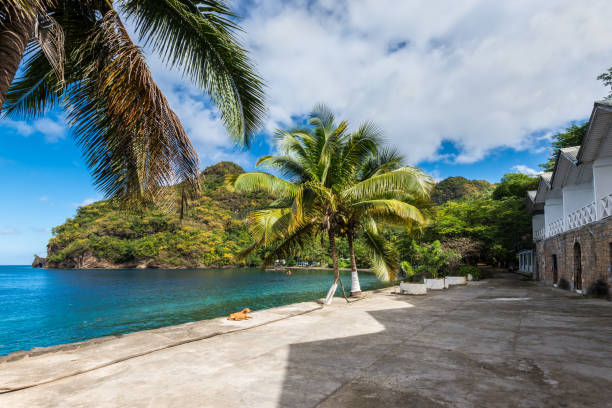 Seascape at the Wallilabou Anchorage at Wallilabou Bay, Saint Vincent and the Grenadines Wallilabou Bay, Saint Vincent and the Grenadines - December 19, 2018: View from the shore out to sea and coconut palm at Wallilabou Anchorage - Pirates of the Caribbean's Port Royale - Saint Vincent. saint vincent and the grenadines stock pictures, royalty-free photos & images
