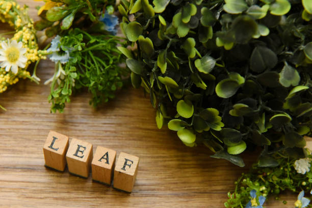 alphabet letter word text stamp
