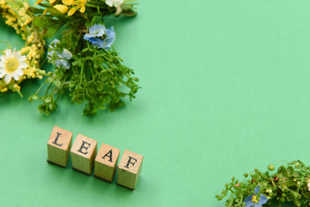 istock alphabet letter word text stamp 1211722858