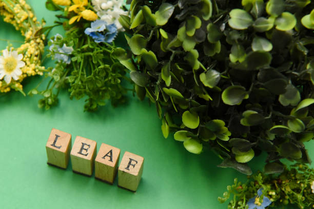 istock alphabet letter word text stamp 1211722884