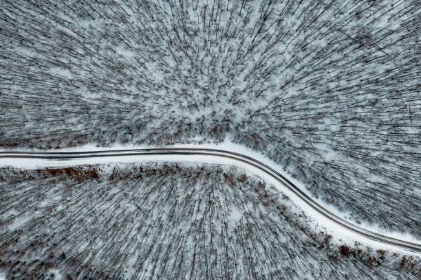 istock Top down view of a curved road going through a snow-covered forest 1211731275