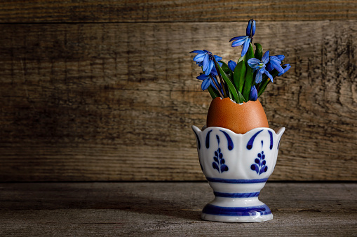 White snowdrops in an egg stand on a wooden background