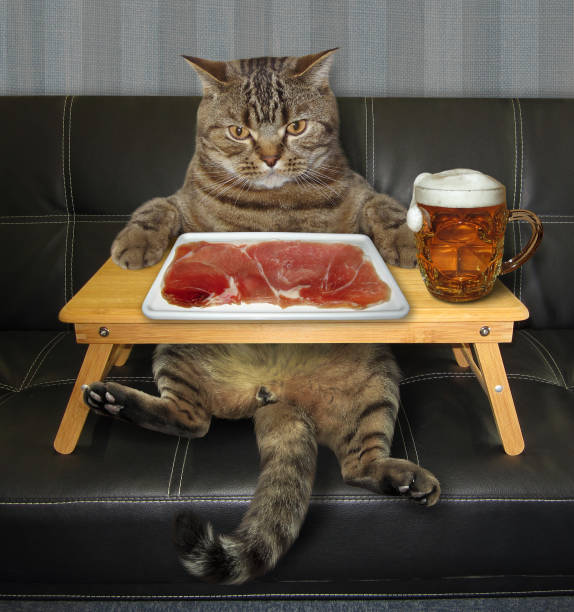 istock Cat eats slice of meat on sofa 1211733935