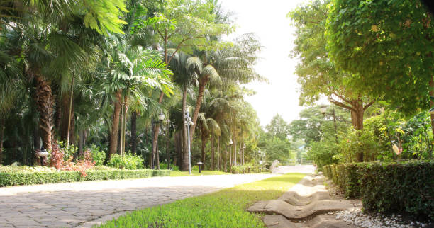 istock garden pathway in green tree park 1211736673
