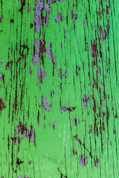 istock Abstract of green wood 1211736904