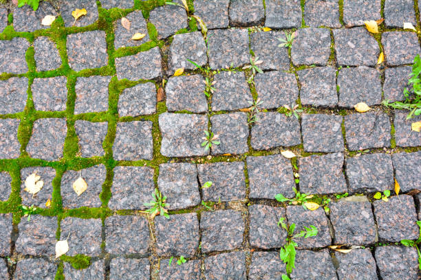 istock Stone walkway red granite bricks floor texture with moss. Old street pavement 1211737888