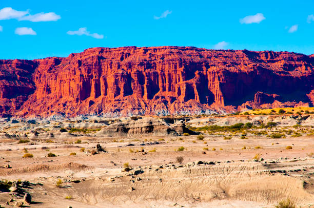 istock Ischigualasto Provincial Park 1211738873