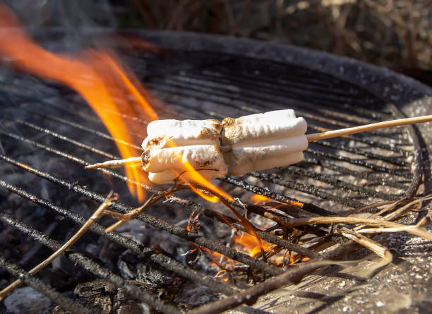 istock sweet marshmallows children fry on fire 1211740705