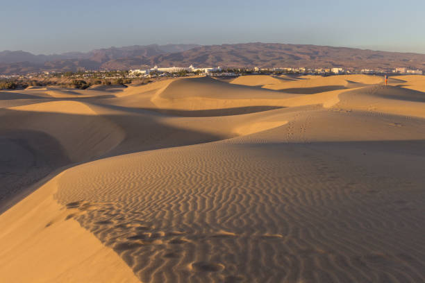 istock Dunes of Maspalomas in Gran Canari (Canary Islands) 1211741640