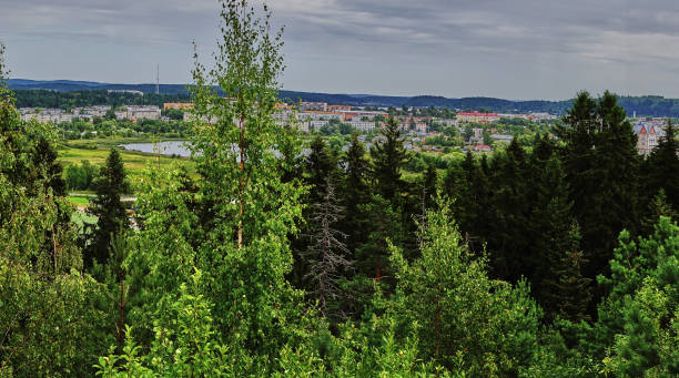 istock Panorama of the city from a height 1211742873
