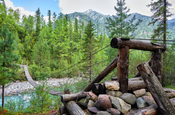 istock Log support of suspension bridge in forest 1211745863