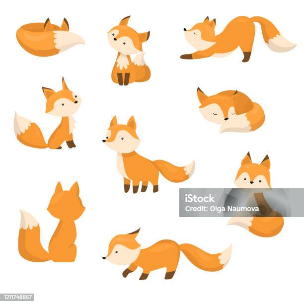 Vetores de Um Conjunto De Raposas De Desenhos Animados Em Diferentes Ações  Ilustração Vetorial Em Estilo De Desenho Animado Plano e mais imagens de  Raposa - Cão Selvagem - iStock
