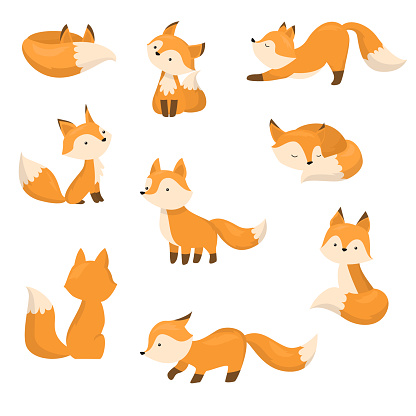 A collection set of cute cartoon foxes. Forest animals in different poses concept. Colorful vector flat isolated icons set.