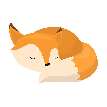Cute cartoon red fox sleeping curled up. Fox sleeping concept. Isolated vector illustration on white background in cartoon style.