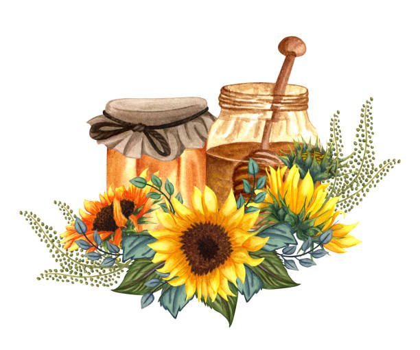 illustrazioni stock, clip art, cartoni animati e icone di tendenza di acquerello miele sano in barattoli di vetro, fiori di girasole e cenato al miele di legno. illustrazione di cibo biologico disegnata a mano - honey dipper