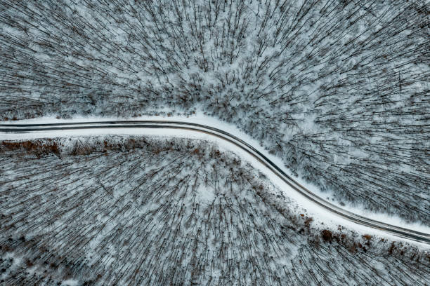 istock Bird's eye view of a curved road going through a wintery forest 1211751762