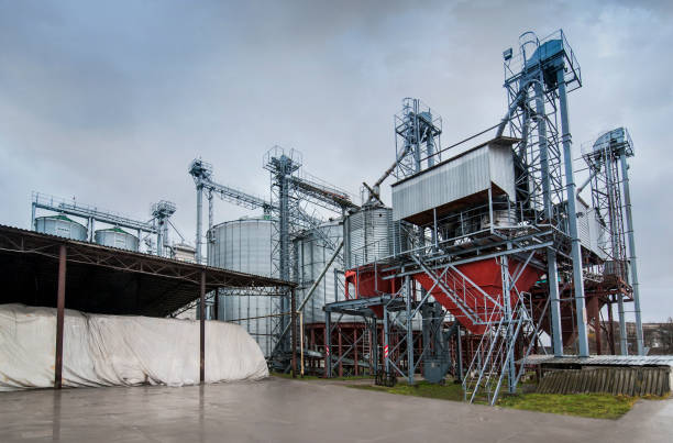 istock Group of silos for storing grain, composition grain bags in a farm, cloudly dark sky 1211753652