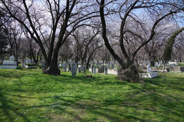 istock View of old cemetery 1211755654
