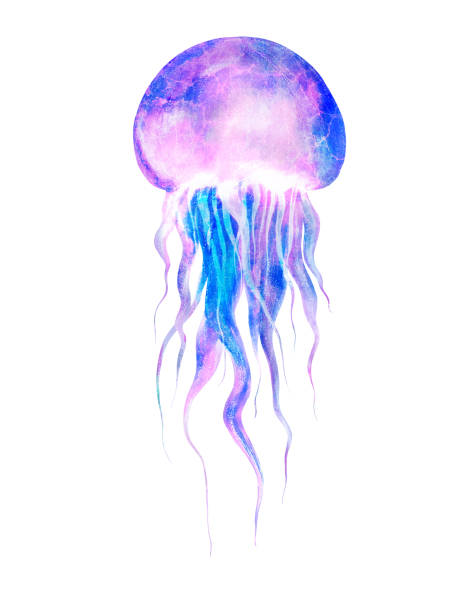 istock Watercolor jellyfish in modern bright neon colors isolated on white background underwater vivid illustration in large size Design element in magic style, purple blue violet glow pink fluid colorful 1211755657