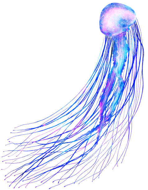 istock Watercolor jellyfish in modern bright neon colors isolated on white background underwater vivid illustration in large size Design element in magic style, purple blue violet glow pink fluid colorful 1211756067