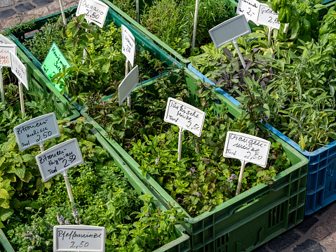 Herbs are sold at the weekly market