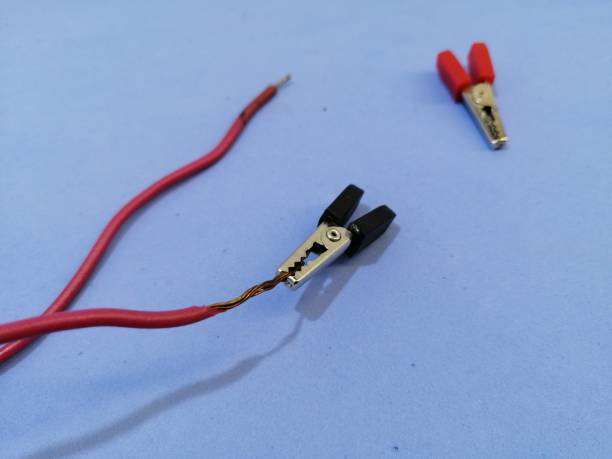 istock A small crocodile probe attached with teeth to a copper case 1211763455