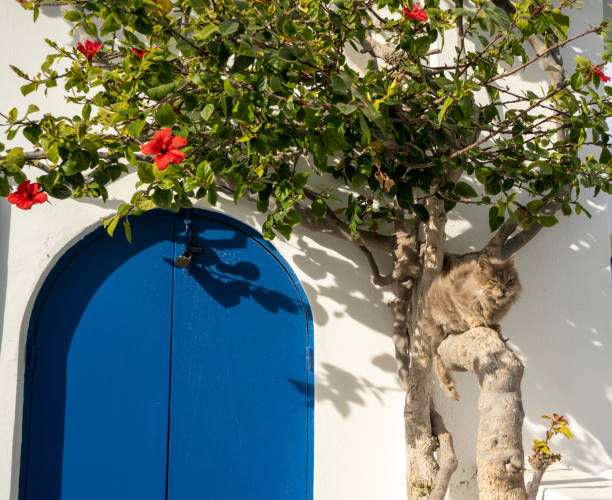 blå dörr i santorini - santorini door sea gate bildbanksfoton och bilder