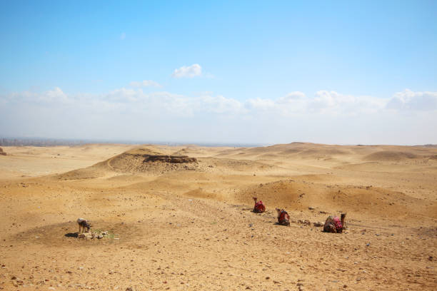 istock Egyptian panorama with sky with sand dunes and lying camels 1211768233