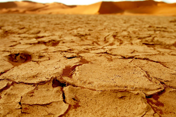 istock Different photos of the desert 1211775303