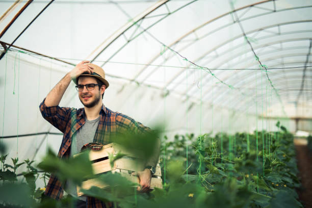 istock Young farmer walking in greenhouse 1211776372