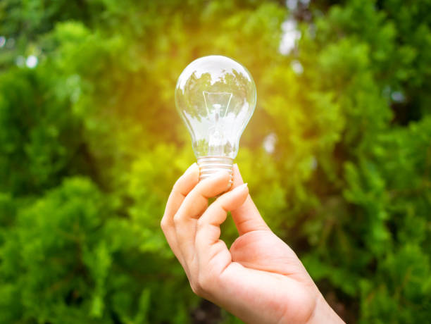 istock Concept save energy efficiency. Hand holding light bulb on blurred tree background 1211776373