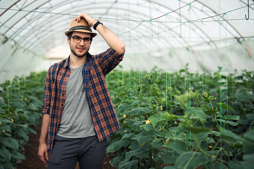 Proud organic vegetables grower portrait