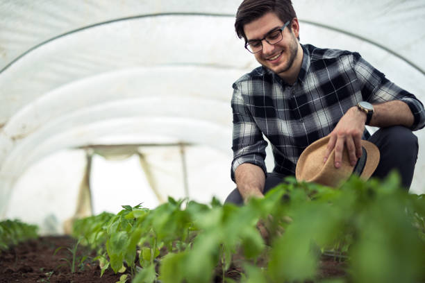 istock Farmer controls young plants in greenhouse 1211776655