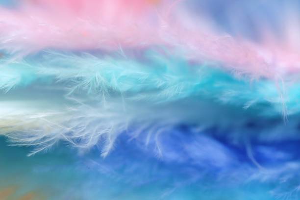 istock Feathers in pastel colors.Blue, pink, turquoise feathers set close-up background.Soft focus. multicolored Fluffy soft background. lightness and softness. 1211777390