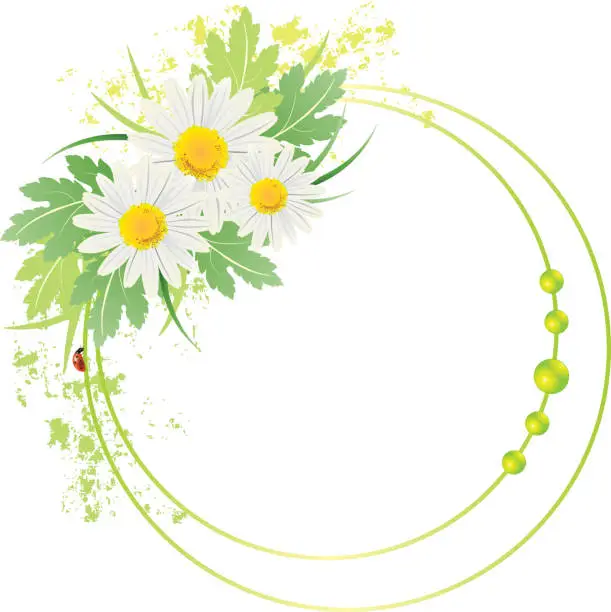 Vector illustration of background illustration of frame and daisies