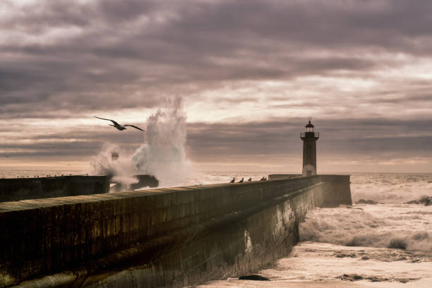 istock The pier on stormy day 1211781793