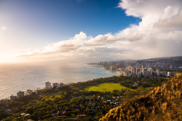 vista del horizonte de honolulu y la playa de waikiki desde diamond head - hawaii islands oahu waikiki diamond head fotografías e imágenes de stock